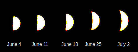 Size and phase changes in Venus from greatest eastern elongation, June 4, 2023 to July 2nd