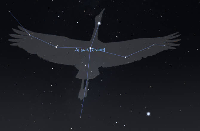 Ajijaak the Sandhill crane