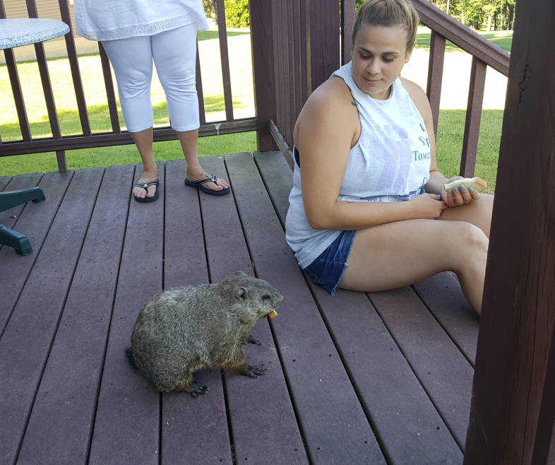 A happier groundhog chewing on a bit of bread given by my granddaughter Coley on the deck of a condo we were staying at in Virginia eight years ago.