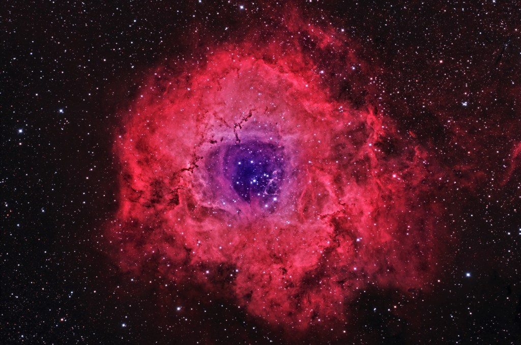 The Rosette Nebula photographed by Dan Dall'Olmo