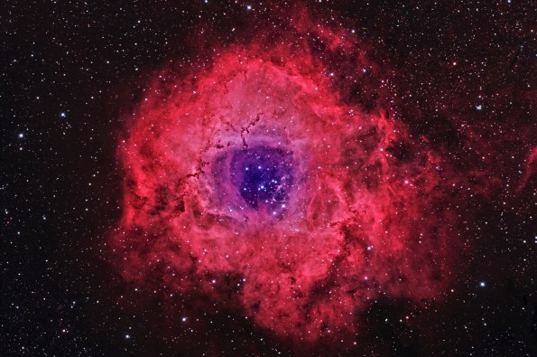 The Rosette Nebula, 