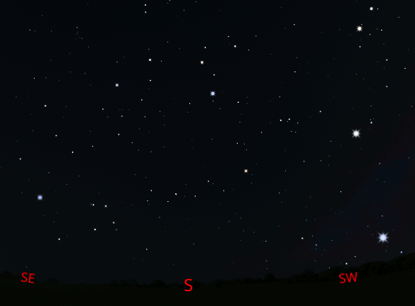 Hydra finder animation