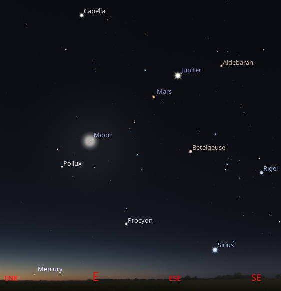 Mars and Jupiter among the bright winter stars