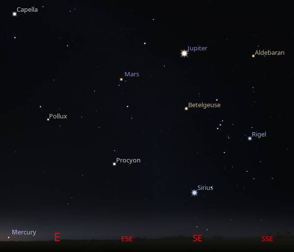 Mars and Jupiter among the bright winter stars
