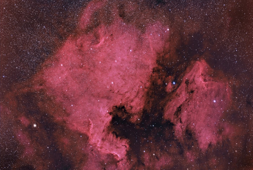 North American and Pelican Nebulae