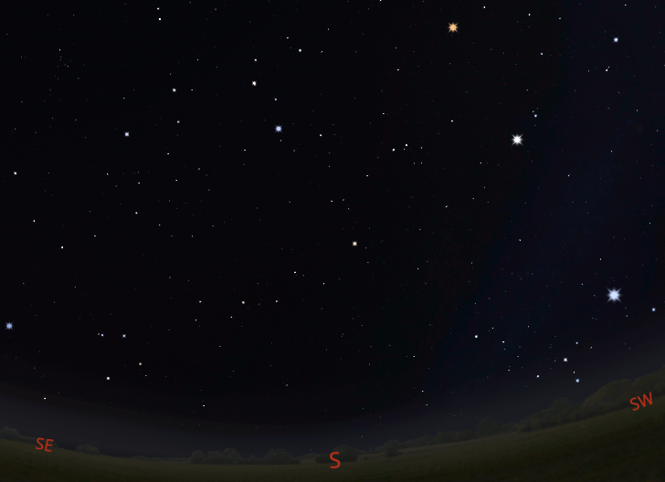 Hydra the water snake finder