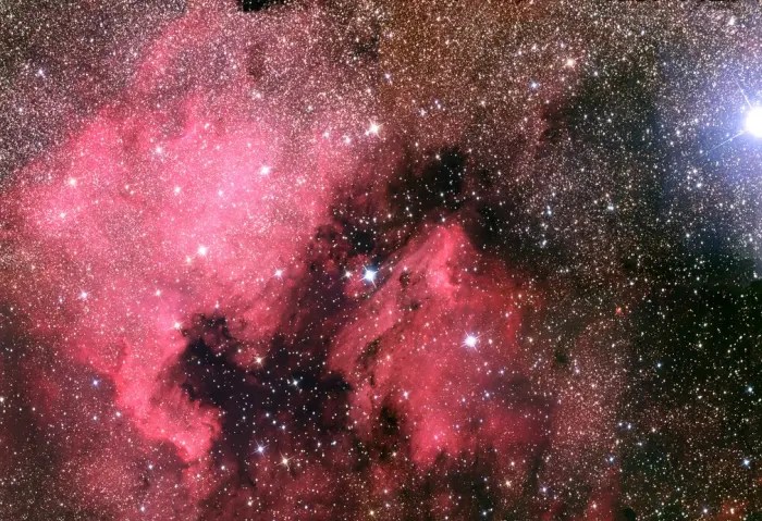 The ultraviolet light given off by Deneb is causing the nearby nebulae, rich in hydrogen to glow.