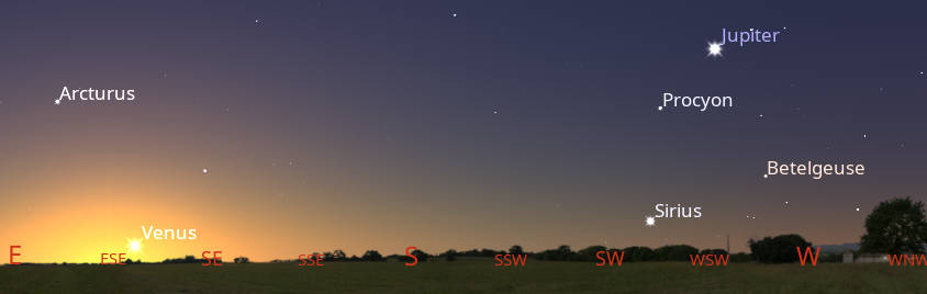 Jupiter among the setting bright winter stars, and the just risen Venus in the east southeast at 7:15 AM, about a half hour before sunrise tomorrow morning November 20, 2025.