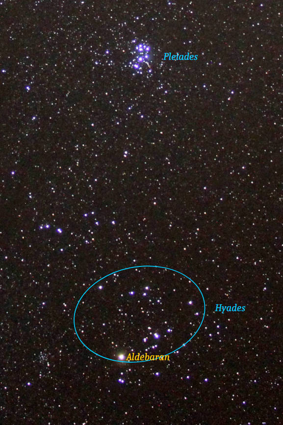 Closeup of the Pleiades and Hyades in the orientation as they are rising in the east.