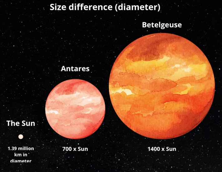 Size comparison between the Sun and two famous red giant stars.