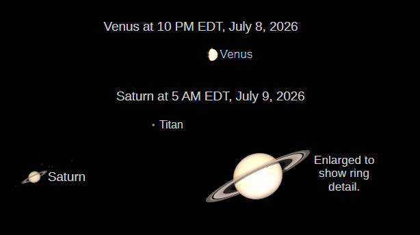 Telescopic Venus at 10 PM tonight, July 8, 2026, and Saturn at 5 AM on the 9th, as they would be seen in a small telescope with the same magnification.