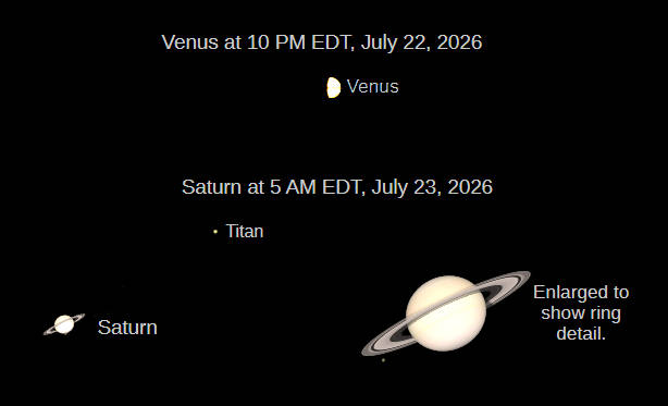 Telescopic Venus at 10 PM tonight, July 22, 2026, and Saturn at 5 AM on the 23rd (north up), as they would be seen in a small telescope with the same magnification.