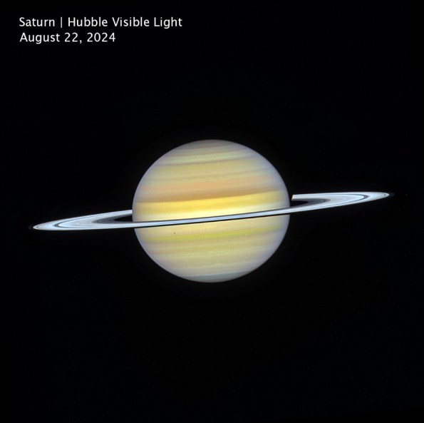 Visible light image of Saturn by the Hubble Space Telescope taken 7 months before the rings went edge-on. Currently the rings are opening up again, but the rings are tilted to begin to cover Saturn's northern hemisphere.